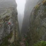 Drei Phasen Basenfasten 2018 018